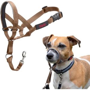 Halti Kopfhalfter - Kleiner Hund, Verstellbar, Reflektierend Halti Kopfhalfter - Kleiner Hund, Verstellbar, Reflektierend