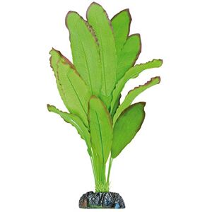 ICA AP1110 Seidenpflanze Echinodorus Spidemet ICA AP1110 Seidenpflanze Echinodorus Spidemet