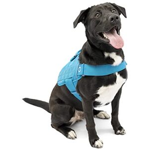 Kurgo RSG Townie Hundegeschirr Einfaches An- und Ausziehen für Schnelle Ausflüge Atmungsaktiver Mesh-Stoff Molle-Kompatibel Oberer Griff Reflektierender Rand L Küstlenblau Kurgo RSG Townie Hundegeschirr Einfaches An- und Ausziehen für Schnelle Ausflüge Atmungsaktiver Mesh-Stoff Molle-Kompatibel Oberer Griff Reflektierender Rand L Küstlenblau