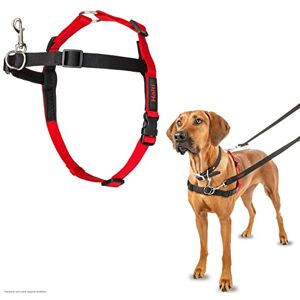 Halti Front Control Anti-Zug Geschirr, Größe Groß Verhindert, dass Ihr Hund an der Leine zieht, Kontrollieren Sie Ihren Hund sanft über den Brustbereich, Einfache Anpassung und Benutzung Halti Front Control Anti-Zug Geschirr, Größe Groß Verhindert, dass Ihr Hund an der Leine zieht, Kontrollieren Sie Ihren Hund sanft über den Brustbereich, Einfache Anpassung und Benutzung