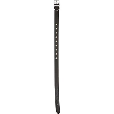 Ancol Lederhalsband mit Nieten, schwarz, 50-59 cm, Größe 7 Ancol Lederhalsband mit Nieten, schwarz, 50-59 cm, Größe 7