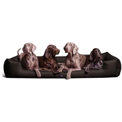 tierlando ® Orthopädisches Hundebett Goofy für große Hunde XL bis XXXL mit waschbarerem Polyester-Bezug, ideal bei Gelenkproblemen Größe: 160x110cm Farbe: 01 Braun tierlando ® Orthopädisches Hundebett Goofy für große Hunde XL bis XXXL mit waschbarerem Polyester-Bezug, ideal bei Gelenkproblemen Größe: 160x110cm Farbe: 01 Braun