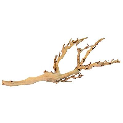 Exo Terra Forest Branch, sandgestrahlter Ast, natürlicher Zweig, ideal für Regenwald- und Wüstenterrarien, mittel Exo Terra Forest Branch, sandgestrahlter Ast, natürlicher Zweig, ideal für Regenwald- und Wüstenterrarien, mittel