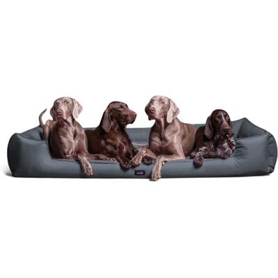 tierlando ® Orthopädisches Hundebett Goofy für große Hunde XL bis XXXL mit waschbarerem Polyester-Bezug, ideal bei Gelenkproblemen Größe: 160x110cm Farbe: 06 Grau tierlando ® Orthopädisches Hundebett Goofy für große Hunde XL bis XXXL mit waschbarerem Polyester-Bezug, ideal bei Gelenkproblemen Größe: 160x110cm Farbe: 06 Grau