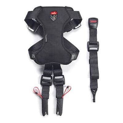 Zolux Travel Safe Auto-Sicherheitsgeschirr für Hunde, ISOFIX + Top Tether, Crash getestet, Größe S (2-10 kg), Schwarz, verstellbar, waschbar bei 30 °C Zolux Travel Safe Auto-Sicherheitsgeschirr für Hunde, ISOFIX + Top Tether, Crash getestet, Größe S (2-10 kg), Schwarz, verstellbar, waschbar bei 30 °C