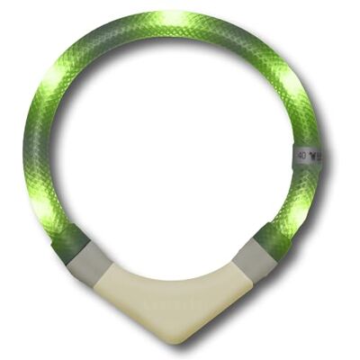 LEUCHTIE ® Plus NL Leuchthalsband Hund batteriebetrieben, nachleuchtend phosphoreszierendes Batterieteil, wasserdichtes LED Halsband, 100h Leuchtdauer, enorm hell, Limette Größe 47,5 LEUCHTIE ® Plus NL Leuchthalsband Hund batteriebetrieben, nachleuchtend phosphoreszierendes Batterieteil, wasserdichtes LED Halsband, 100h Leuchtdauer, enorm hell, Limette Größe 47,5