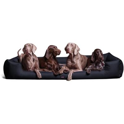 tierlando ® Orthopädisches Hundebett Goofy für große Hunde XL bis XXXL mit waschbarerem Polyester-Bezug, ideal bei Gelenkproblemen Größe: 160x110cm Farbe: 25 Navy Dunkelblau tierlando ® Orthopädisches Hundebett Goofy für große Hunde XL bis XXXL mit waschbarerem Polyester-Bezug, ideal bei Gelenkproblemen Größe: 160x110cm Farbe: 25 Navy Dunkelblau
