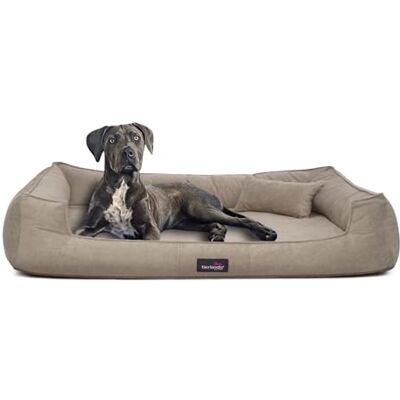 tierlando ® Orthopädisches Hundebett Bruce mit abnehmbarem und waschbarem Velours-Bezug, Hundesofa ideal für mittelgroße und große Hunde Größe: 110x90cm Farbe: 14 Beige tierlando ® Orthopädisches Hundebett Bruce mit abnehmbarem und waschbarem Velours-Bezug, Hundesofa ideal für mittelgroße und große Hunde Größe: 110x90cm Farbe: 14 Beige