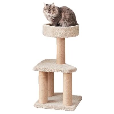 Amazon Kratzbaum mit Kratzstämmen für den Innenbereich, mittelgroß, 40 x 40 x 80 cm (L x B x H), Beige Amazon Kratzbaum mit Kratzstämmen für den Innenbereich, mittelgroß, 40 x 40 x 80 cm (L x B x H), Beige
