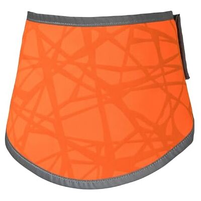 Back on Track Draco Bandana mit Reflektoren für den Hund (S, Reflektierend orange) Back on Track Draco Bandana mit Reflektoren für den Hund (S, Reflektierend orange)