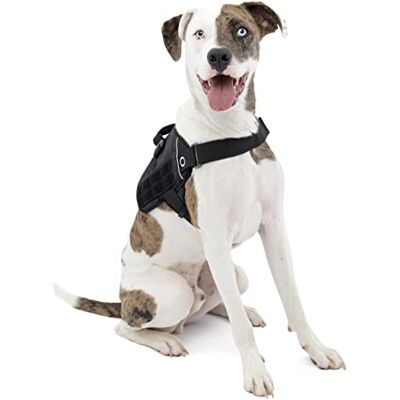 Kurgo RSG Townie Hundegeschirr - Robust, Verstellbar, Einfach zu Bedienen Kurgo RSG Townie Hundegeschirr - Robust, Verstellbar, Einfach zu Bedienen