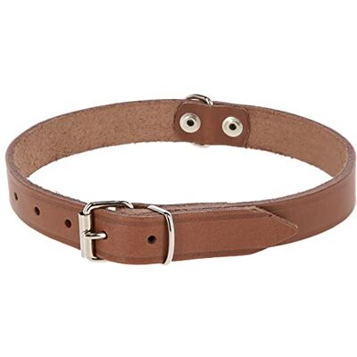Kerbl Pet Mexica Halsband Taupe 25 mm, 46-56 cm genietet Kerbl Pet Mexica Halsband Taupe 25 mm, 46-56 cm genietet