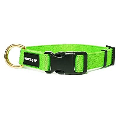 Mystique ® Nylon Halsband Profi 25mm neongrün 40-50cm Messing Mystique ® Nylon Halsband Profi 25mm neongrün 40-50cm Messing