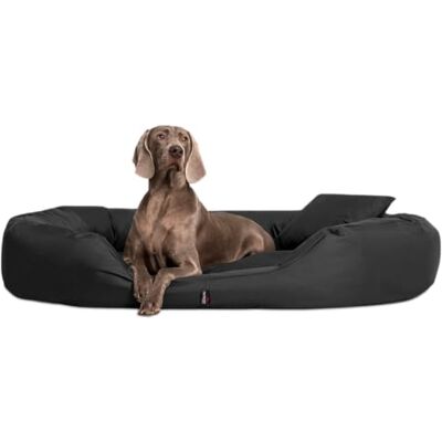 tierlando ® Orthopädisches Hundebett Sammy mit viscoelastischer Matratze und hohem Rand aus robustem Polyester für gelenkschonenden Schlaf und höchsten Komfort Größe: 140x105cm Farbe: 40 Anthrazit tierlando ® Orthopädisches Hundebett Sammy mit viscoelastischer Matratze und hohem Rand aus robustem Polyester für gelenkschonenden Schlaf und höchsten Komfort Größe: 140x105cm Farbe: 40 Anthrazit