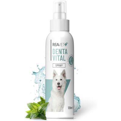 ReaVET Dentalspray für Hunde gegen Mundgeruch Spray Hund, Zahnsteinentfernerspray, Mundspray beugt Zahnstein vor I Zahnpflegespray, Zahnreinigung ohne Bürste für einen frischen Atem 120ml ReaVET Dentalspray für Hunde gegen Mundgeruch Spray Hund, Zahnsteinentfernerspray, Mundspray beugt Zahnstein vor I Zahnpflegespray, Zahnreinigung ohne Bürste für einen frischen Atem 120ml