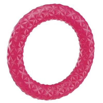 Ferplast Hunde Spielzeug Pull MAX 05, Hundetraining Ring zum Kauen, zum Laufen, Springen, Schießen, Ungiftig, Schwimmend, Hundespielzeug für Mittelgroßer Hund Ferplast Hunde Spielzeug Pull MAX 05, Hundetraining Ring zum Kauen, zum Laufen, Springen, Schießen, Ungiftig, Schwimmend, Hundespielzeug für Mittelgroßer Hund