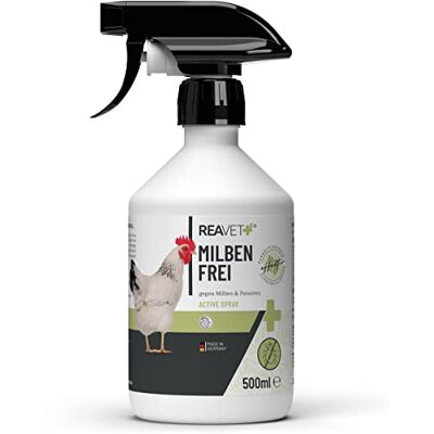 ReaVET Milbenspray Hühner 500ml – Gegen Milben, Rote Vogelmilbe & Parasiten – Milben Spray für Hühnerstall & Geflügel I Umgebungsspray & Kontaktspray I Vorbeugend & bei Befall ReaVET Milbenspray Hühner 500ml – Gegen Milben, Rote Vogelmilbe & Parasiten – Milben Spray für Hühnerstall & Geflügel I Umgebungsspray & Kontaktspray I Vorbeugend & bei Befall