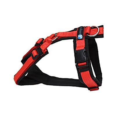 anny-x Brustgeschirr Fun schwarz rot Gr. XXS anny-x Brustgeschirr Fun schwarz rot Gr. XXS