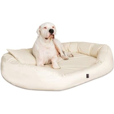 tierlando ® Orthopädisches Hundebett Sammy mit viscoelastischer Matratze und hohem Rand aus robustem Polyester für gelenkschonenden Schlaf und höchsten Komfort Größe: 140x105cm Farbe: 05 Dunkelrot tierlando ® Orthopädisches Hundebett Sammy mit viscoelastischer Matratze und hohem Rand aus robustem Polyester für gelenkschonenden Schlaf und höchsten Komfort Größe: 140x105cm Farbe: 05 Dunkelrot