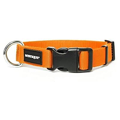 Mystique ® Nylon Halsband Profi 25mm Neonorange 55-65cm normal Mystique ® Nylon Halsband Profi 25mm Neonorange 55-65cm normal