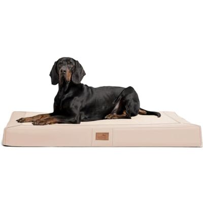 tierlando ® Orthopädische Hundematratze Oscar VIP aus Kunstleder und Velours mit Visco-Schaumfüllung, druckentlastende Hundematte mit Rutschfester Unterseite Größe: 100x80cm Farbe: 05 Creme tierlando ® Orthopädische Hundematratze Oscar VIP aus Kunstleder und Velours mit Visco-Schaumfüllung, druckentlastende Hundematte mit Rutschfester Unterseite Größe: 100x80cm Farbe: 05 Creme