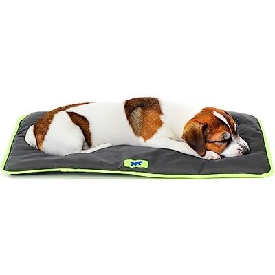 Ferplast Hundematte & Katzenmatte Klein Waschbares Hundebett Hundekissen Wasserdicht & Kratzfest Matte für Hundehütten und Auto, Hundekorb Jolly 65 x 48 cm, SM, SCHWARZ Ferplast Hundematte & Katzenmatte Klein Waschbares Hundebett Hundekissen Wasserdicht & Kratzfest Matte für Hundehütten und Auto, Hundekorb Jolly 65 x 48 cm, SM, SCHWARZ