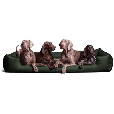 tierlando ® Orthopädisches Hundebett Goofy für große Hunde XL bis XXXL mit waschbarerem Polyester-Bezug, ideal bei Gelenkproblemen Größe: 160x110cm Farbe: 26 Olivgrün tierlando ® Orthopädisches Hundebett Goofy für große Hunde XL bis XXXL mit waschbarerem Polyester-Bezug, ideal bei Gelenkproblemen Größe: 160x110cm Farbe: 26 Olivgrün