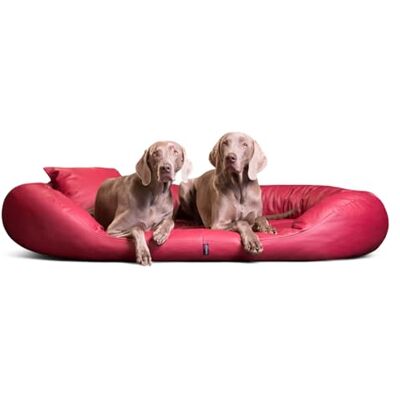 tierlando ® Orthopädisches Hundebett SAMMY EASY CLEAN mit viscoelastischer Matratze und hohem Rand aus Kunstleder für gelenkschonenden Schlaf und höchsten Komfort Größe: 140x105cm Farbe: 04 Dunkelrot tierlando ® Orthopädisches Hundebett SAMMY EASY CLEAN mit viscoelastischer Matratze und hohem Rand aus Kunstleder für gelenkschonenden Schlaf und höchsten Komfort Größe: 140x105cm Farbe: 04 Dunkelrot