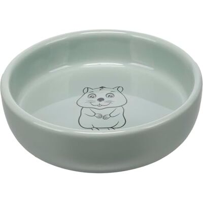 Flamingo Futter- UND TRINKNAPF MEERSCHWEINCHEN Snuffy RUND MINZGRÜN 12x3,5CM 200ML Flamingo Futter- UND TRINKNAPF MEERSCHWEINCHEN Snuffy RUND MINZGRÜN 12x3,5CM 200ML