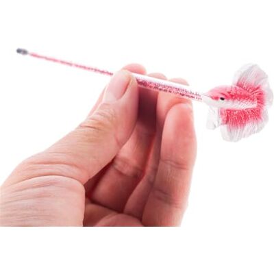 ihwfaityu Trainingsstab für Fish Resin, Red Fisch Trainingsstab für fischaktive Aquarien, Aquarium Dekorationen, Schwanz Trainingsstab für Aquarien ihwfaityu Trainingsstab für Fish Resin, Red Fisch Trainingsstab für fischaktive Aquarien, Aquarium Dekorationen, Schwanz Trainingsstab für Aquarien