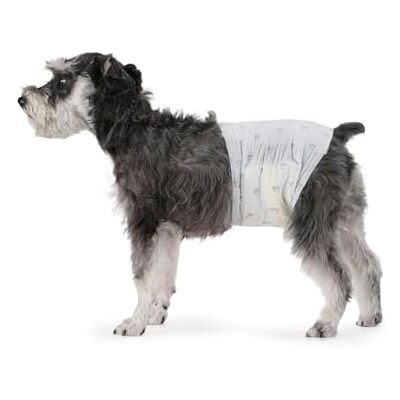 Amazon Hundewindel für Rüden, Einwegwindeln, Mittel (Pack of 50), Weiß Amazon Hundewindel für Rüden, Einwegwindeln, Mittel (Pack of 50), Weiß