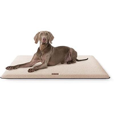 Knuffelwuff kuschelige Hundematte Calliope aus Teddy Material 120x80cm Beige Hundekissen für große, mittelgroße und kleine Hunde Für Zuhause, Auto, Wohnmobil, Wohnwagen Knuffelwuff kuschelige Hundematte Calliope aus Teddy Material 120x80cm Beige Hundekissen für große, mittelgroße und kleine Hunde Für Zuhause, Auto, Wohnmobil, Wohnwagen