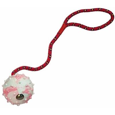 nanook 5 x Schleuderball für Hunde im Set Hundespielzeug Wurfball Hundeseil mit Ball nanook 5 x Schleuderball für Hunde im Set Hundespielzeug Wurfball Hundeseil mit Ball