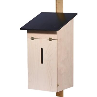 Luxus-Insektenhotels Großer Hornissenkasten aus Holz zur Ansiedlung von Hornissenvölkern Nisthilfe für Hornissen zur Umquartierung 32 x 32 x 56 cm Braun Luxus-Insektenhotels Großer Hornissenkasten aus Holz zur Ansiedlung von Hornissenvölkern Nisthilfe für Hornissen zur Umquartierung 32 x 32 x 56 cm Braun