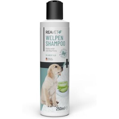 ReaVET Welpenshampoo Aloe Vera 250ml – extra mild für Hunde Welpen I Hundeshampoo, Shampoo für Hunde glänzendes & leicht kämmbares Fell, Parfumfrei, Hundeshampoo Sensitiv ReaVET Welpenshampoo Aloe Vera 250ml – extra mild für Hunde Welpen I Hundeshampoo, Shampoo für Hunde glänzendes & leicht kämmbares Fell, Parfumfrei, Hundeshampoo Sensitiv