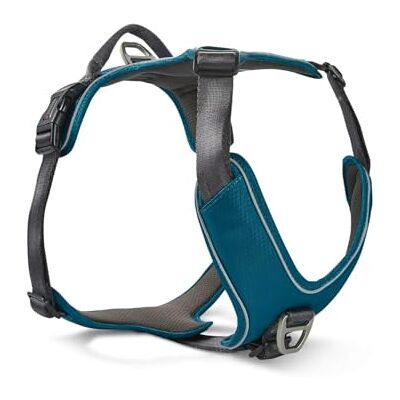 WOLTERS Geschirr Active Pro Comfort, Größe:40-47.5 cm, Farbe:Petrol/anthrazit WOLTERS Geschirr Active Pro Comfort, Größe:40-47.5 cm, Farbe:Petrol/anthrazit