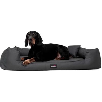 tierlando ® Orthopädisches Hundebett Goofy für große Hunde XL bis XXXL mit waschbarerem Polyester-Bezug, ideal bei Gelenkproblemen Größe: 110x90cm Farbe: 02 Graphit tierlando ® Orthopädisches Hundebett Goofy für große Hunde XL bis XXXL mit waschbarerem Polyester-Bezug, ideal bei Gelenkproblemen Größe: 110x90cm Farbe: 02 Graphit