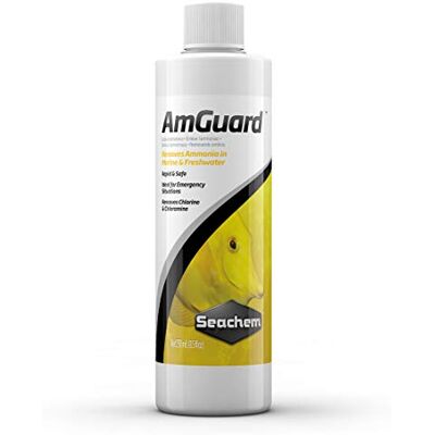 Seachem AmGuard - Wassertreatment für Aquarien - Sicherer Ammoniakausgleich Seachem AmGuard - Wassertreatment für Aquarien - Sicherer Ammoniakausgleich