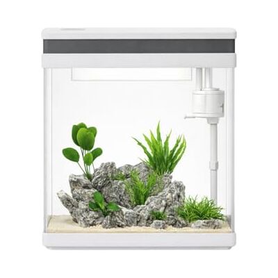 AquaOne Aquarium Komplettset LED mit Pumpe HNE-300 I Kleines Nanoaquarium 13 Liter mit Filteranlage I Mini Nano Becken Set für Fische und Garnelen AquaOne Aquarium Komplettset LED mit Pumpe HNE-300 I Kleines Nanoaquarium 13 Liter mit Filteranlage I Mini Nano Becken Set für Fische und Garnelen