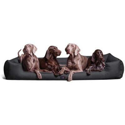 tierlando ® Orthopädisches Hundebett Goofy für große Hunde XL bis XXXL mit waschbarerem Polyester-Bezug, ideal bei Gelenkproblemen Größe: 160x110cm Farbe: 02 Graphit tierlando ® Orthopädisches Hundebett Goofy für große Hunde XL bis XXXL mit waschbarerem Polyester-Bezug, ideal bei Gelenkproblemen Größe: 160x110cm Farbe: 02 Graphit