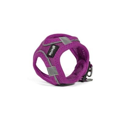 GLORIA LO MEJOR PARA TU MEJOR AMIGO Gloria Trek Star Hundegeschirr 24-26 cm 28-28,6 cm Violett XXS GLORIA LO MEJOR PARA TU MEJOR AMIGO Gloria Trek Star Hundegeschirr 24-26 cm 28-28,6 cm Violett XXS