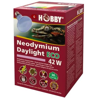 Neodymium Ho37352 - Tageslicht Eco 42W Glühbirne Neodymium Ho37352 - Tageslicht Eco 42W Glühbirne