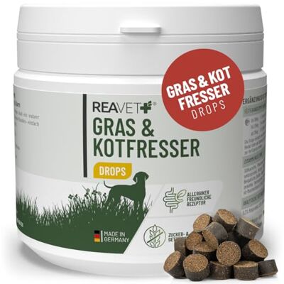 ReaVET Gras & Kotfresser Drops für Hunde – bei Fressen von Gras & KOT – beruhigt den Magen & reduziert Sodbrennen – Grasfresser Drops mit Heilerde, Ayurvedische Heilpflanze I 350g (180 Stück) ReaVET Gras & Kotfresser Drops für Hunde – bei Fressen von Gras & KOT – beruhigt den Magen & reduziert Sodbrennen – Grasfresser Drops mit Heilerde, Ayurvedische Heilpflanze I 350g (180 Stück)