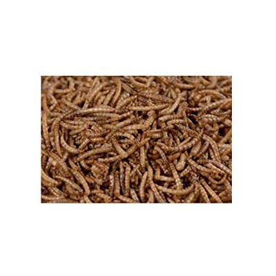 ZooMenu Getrocknete Mehlwürmer Mealworm Fischfutter, Reptilien, Teichfische 10630 10 kg ZooMenu Getrocknete Mehlwürmer Mealworm Fischfutter, Reptilien, Teichfische 10630 10 kg