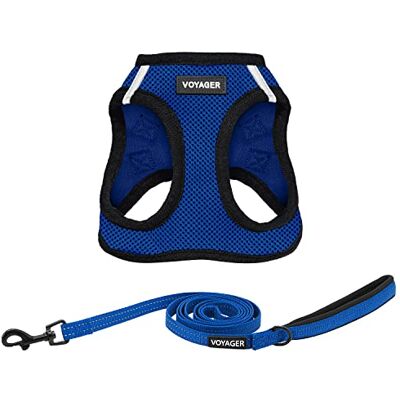 Best Pet Supplies Voyager Step-In Air Allwetter-Netzgeschirr und reflektierender Hunde-Leine, Kombination mit Neoprengriff, für kleine, mittelgroße und große Welpen, von – Königsblau/schwarzer Rand, Best Pet Supplies Voyager Step-In Air Allwetter-Netzgeschirr und reflektierender Hunde-Leine, Kombination mit Neoprengriff, für kleine, mittelgroße und große Welpen, von – Königsblau/schwarzer Rand,