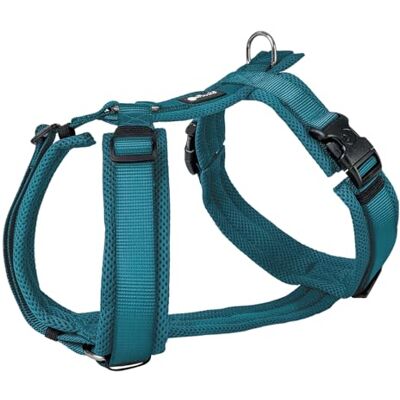 Petlando Hundegeschirr gepolstert, Mesh Y-Comfort, weich, stufenlos verstellbar, besonders leicht & atmungsaktiv, fellschonend, ergonomisch, Brustgeschirr für mittelgroße Hunde, Petrol, M Petlando Hundegeschirr gepolstert, Mesh Y-Comfort, weich, stufenlos verstellbar, besonders leicht & atmungsaktiv, fellschonend, ergonomisch, Brustgeschirr für mittelgroße Hunde, Petrol, M