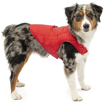 Kurgo Loft Hundejacke, Mit Hundegeschirr kombinierbar, Wasserdicht und reflektierend, Ideal für den Winter, Größe XS, Rot/Grau Kurgo Loft Hundejacke, Mit Hundegeschirr kombinierbar, Wasserdicht und reflektierend, Ideal für den Winter, Größe XS, Rot/Grau