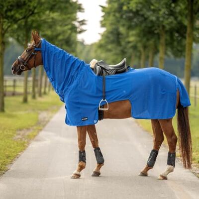 Busse Ausreitdecke Moskito III, 155, royal Summer Busse Ausreitdecke Moskito III, 155, royal Summer