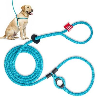 Harness Lead Leash, Medium/Large, Blue Harness Lead Leash, Medium/Large, Blue