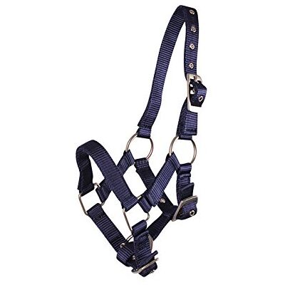 QHP Fohlenhalfter Halfter für Fohlen – Verstellbares Kopfstück für sicheren Halt – Nylon, 4 Größen, 6 Farben QHP Fohlenhalfter Halfter für Fohlen – Verstellbares Kopfstück für sicheren Halt – Nylon, 4 Größen, 6 Farben